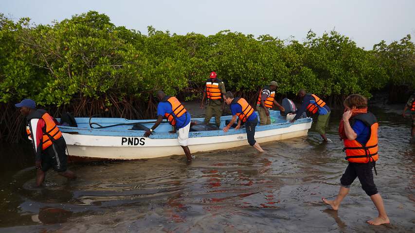 Médecins du Fleuve au Sénégal