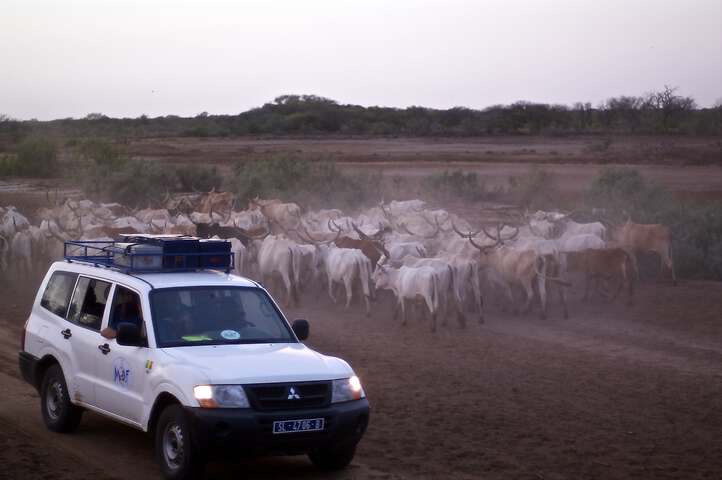 Médecins du Fleuve au Sénégal